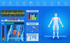 USA FREE 2026 100 Reports Quantum Magnetic Resonance Body Analyzer 3TH Newest