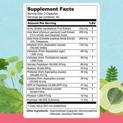 UpWellness Total Revive+ Digestive Enzymes Broad-Spectrum Gut Health Nutrient Ab