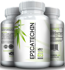 EPICATECHIN – 350 MGs Per Serving – 60 Servings Per Bottle – Evoganica