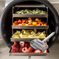 Freeze Drying Pin Roller Blueberries Stainless Steel Honey Uncapping