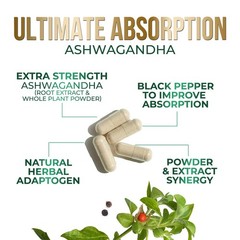 Ashwagandha Supplements – Premium Capsule 120 Count (Pack of 1)
