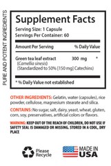 antioxidant powder – GREEN TEA – GRAPE SEED EXTRACT COMBO 2B – green tea supplem