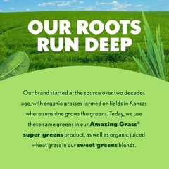 Amazing Grass Green Superfood Energy Lemon Lime 30 Servings Powder Exp 2027