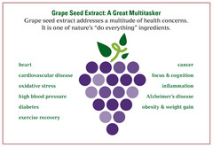 antioxidant – GREEN TEA – GRAPE SEED EXTRACT COMBO 2B – green tea extract