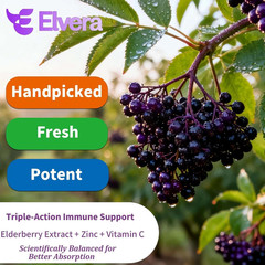 Elvera Organic Black Elderberry Soft Capsules (120Ct) – 3-In-1 Gut Support Compl