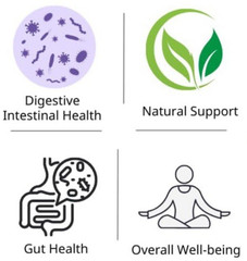 PARASITE DETOX – CANDIDA CLEANSE & BINDER TO REMOVE TOXINS – 150 CT Full Kit