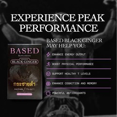BASED Supplements Black Ginger MDF 11% – 30 capsules – 300mg per capsule