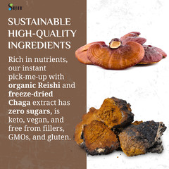 Best Mushroom Coffee Organic Ganoderma Reishi Alternative For Healthy Gut 20 Pak