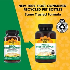 Digestive Support Chewable Wafers – 500 Count, Natural Papaya & Pineapple Flavor