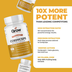Cordyceps Mushroom Extract Capsules – 10:1 Concentrated Formula – 60 Capsules