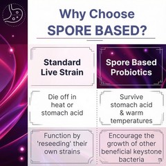 Mega SporeBiotic Spore Probiotic 4 Billion CFU Gut Immune Support 60 Capsules