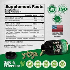 Mullein Leaf Extract for Lung Detox 3500 Mg – Echinacea | Oregano | Quercetin |