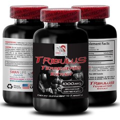 Daily Activation – TRIBULUS TERRESTRIS EXTRACT – Pure Activation 1 Bottle 90 Tab