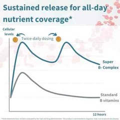 Super B-Complex – Methylated Sustained Release Clean Label B Complex with Met…