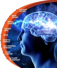 Jellyfish Collagen Rich in Calcium Binding Protein. Brain & Memory Support