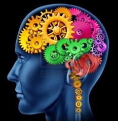 brain booster – ASTRAGALUS COMPLEX – amla capsules organic 2B