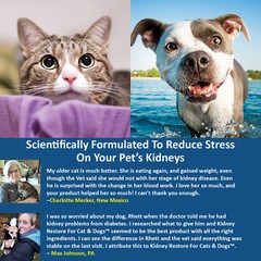 Healthy Kidney Support Cats Dogs Probiotic Powder Urinary Track Essential 3 Pack