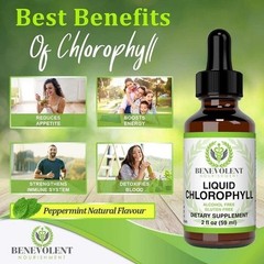 oz NEW Benevolent Nourishment Fluid Chlorophyll Herbal Supplement 2