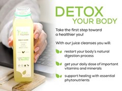 RAW Fountain 3 Day GREEN Juice Cleanse, All Natural Cold Pressed Detox 18ct 12oz