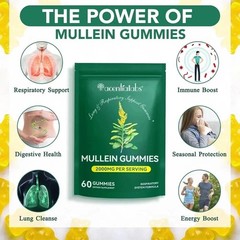 60 Count Mullein Gummies for Lung Cleanse, 2000mg Organic Mullein Leaf Extract f