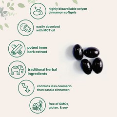 Ceylon Cinnamon 7,200Mg Equivalent | 30 Softgels with MCT Oil | Highly Bioavail