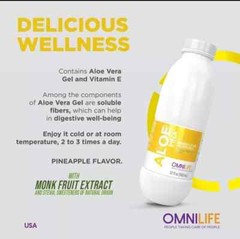 Omnilife Aloe Piña Container, net content 960 milliliters ( 2 Pack )