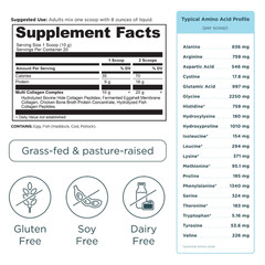 Ancient Nutrition Multi Collagen Protein Powder – Unflavored-20 Servings:7.1 oz
