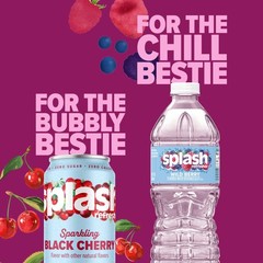 SPLASH REFRESHER Flavored Water Bottles, Wild 16.9 Fl Oz (Pack of 6), Clear