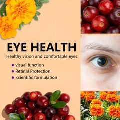 Immune Support With 70 Plant Minerals Plus Eye Brain Health 30/60/120 Capsules