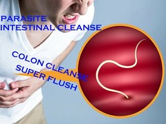 100 Parasite Intestinal Cleanse Colon Cleanse Super Flush Detox Candida Organic