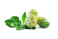 Digestive Aid – NONI EXTRACT – Vitality Boost 1 Bottle 60 Capsules