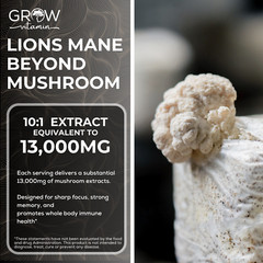 Organic Lion’s Mane Mushroom Supplement (13000 mg) – MEMORY, FOCUS, STRESS AID