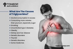 TRIGLYCERIDES HIGH & BAD CHOLESTEROL REMOVER & FLUSHER & SUGAR DOWN