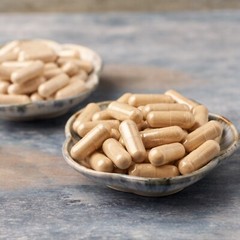 Echinacea Capsules 500mg | 60 CT | Organic Vegan Herbal Supplement | Immune Aid
