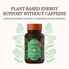 High-Potency Chlorophyll Softgels – Detox Support, Deodorizing, Skin & Gut Healt