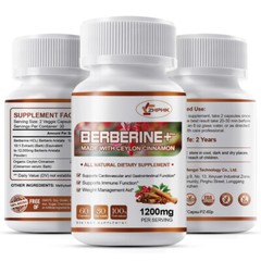 Berberine Plus Ceylon Cinnamon 1400 mg | 240 Capsules | Vegetarian