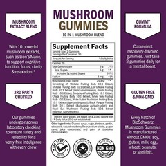 Mushroom Gummies for Adults – 10-in-1 Functional Mushroom Supplement for Mood