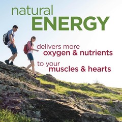 Elevate Stamina Naturally: Bountiful Beets Nitric Oxide Booster – 90 Servings