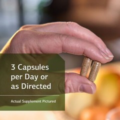 Standard Process Cellular Vitality Supports Cellular Processes, 90 Capsules