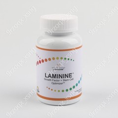 AUTHENTIC LifePharm Laminine Supplement 120 Capsules Total – EXP 07/2027!