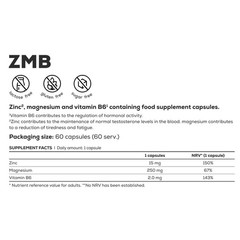 BIOTECH ZMB – 60-180 Capsules – Zinc Magnesium B6 – normal testo levels – balans