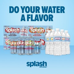 SPLASH REFRESHER Flavored Water Bottles, Wild 16.9 Fl Oz (Pack of 6), Clear