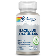Solaray Bacillus Coagulans Probiotic, Shelf Stable | 60 VegCaps, 30 Serv.