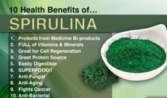 Antioxidant formula – SPIRULINA – ANTI WRINKLE COMBO – coenzyme a supplement