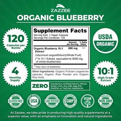 Zazzee USDA Organic Blueberry 10:1 Extract, 120 Vegan 120 Count (Pack of 1)