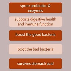 Bacillus B3 Probiotics – Bacillus Subtilis, Coagulans Clausii Enzymes prebiotic
