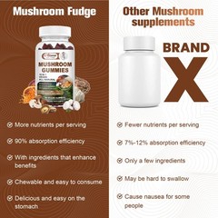 Mushroom Extract Complex Gummies Lions Mane Chaga Reishi Focus Memory Immunity