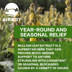 Lung Detox – Mullein Leaf – Respiratory System Health, Support Cleansing & Detox