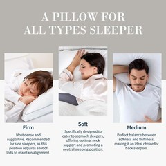 Globon Luxury Feather Down Pillow Standard Queen Size,Firm Gusseted Bed Pillo…