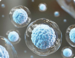 StemActive Stem Cell Support Supplement with Sea Buckthorn and Klamath Algae